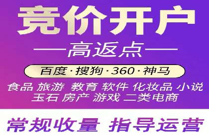 SEM投放策略：成功案例解析